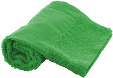 Bavlněný froté ručník - 30×50 cm Terry S, zelená