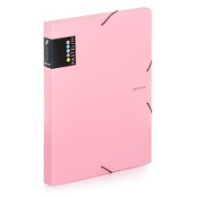 Box na spisy A4 Karton PP Pastelini, s gumičkou, růžový